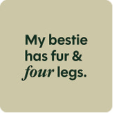 Pet photo 7