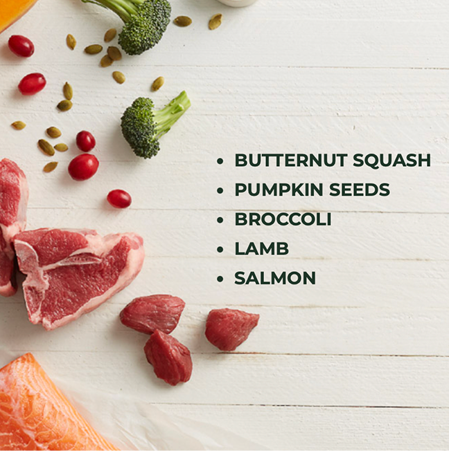 Fresh raw ingredients including cage-free chicken, grass-fed beef, vegetables and fruits
