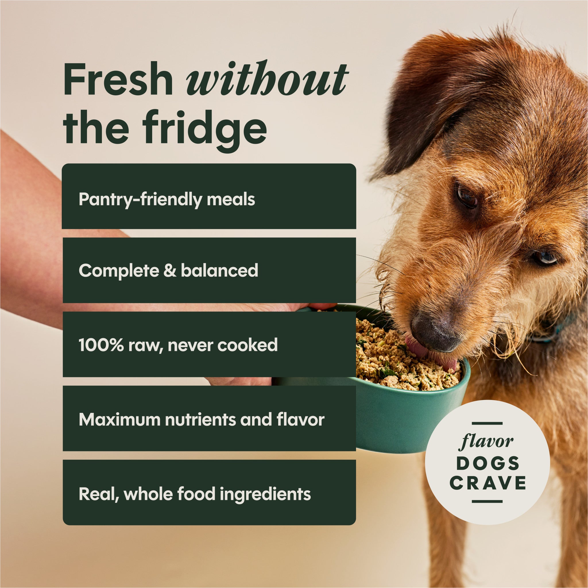 FreshDried Meal Blends Chicken & Harvest Blend