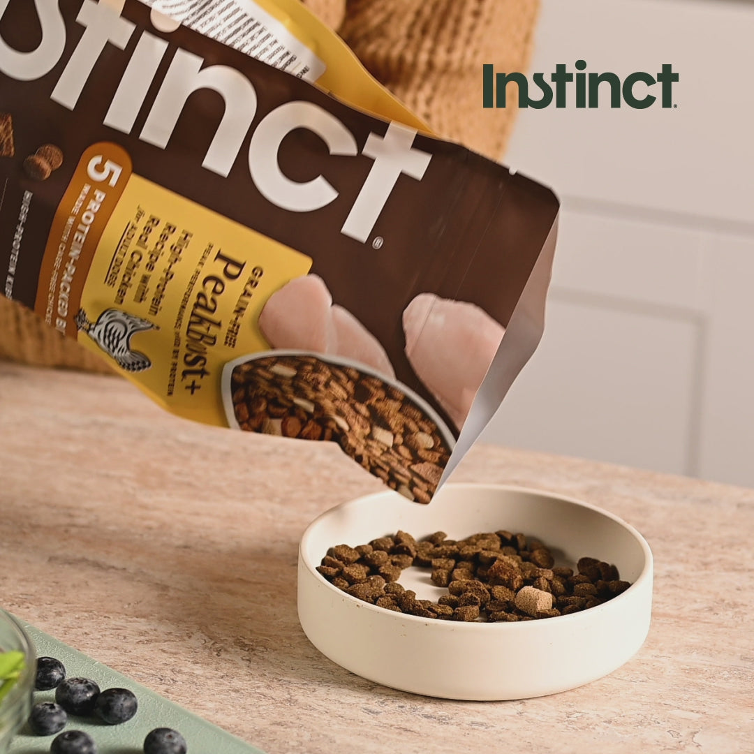 PeakBoost+ Kibble Real Chicken Recipe