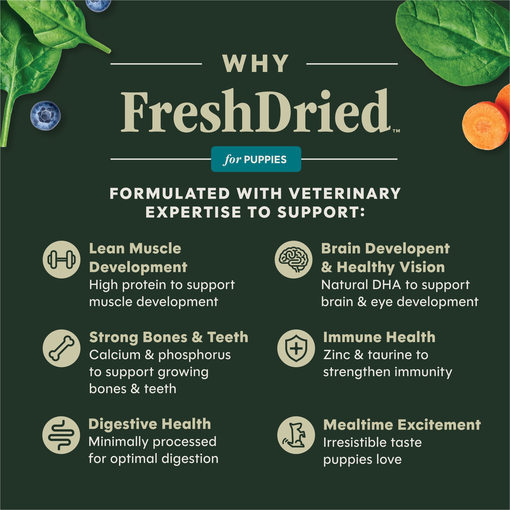FreshDried Raw Meals for Puppies Chicken Recipe