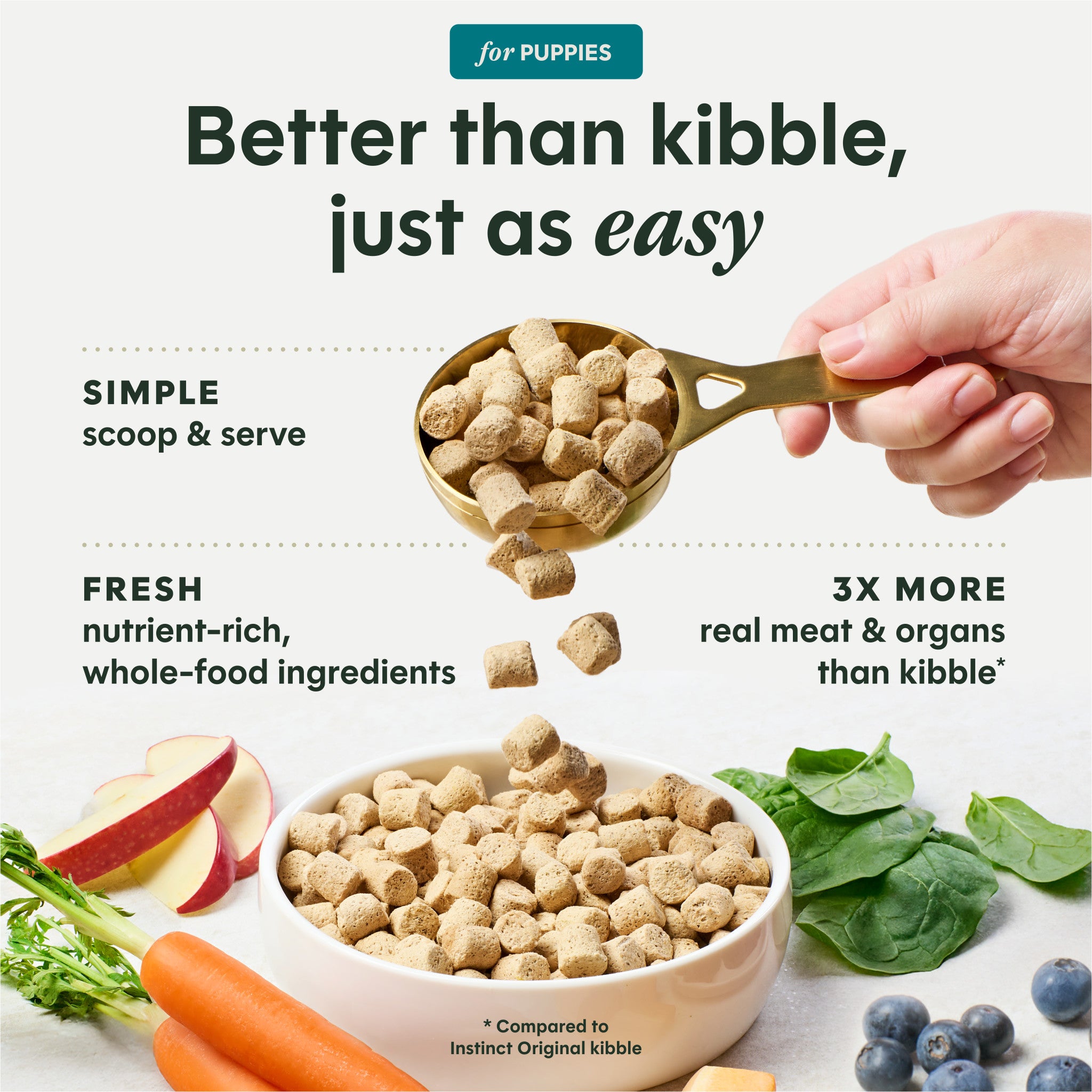 FreshDried Raw Meals for Puppies Chicken Recipe