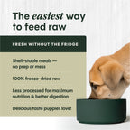 FreshDried Raw Meals for Puppies Chicken Recipe